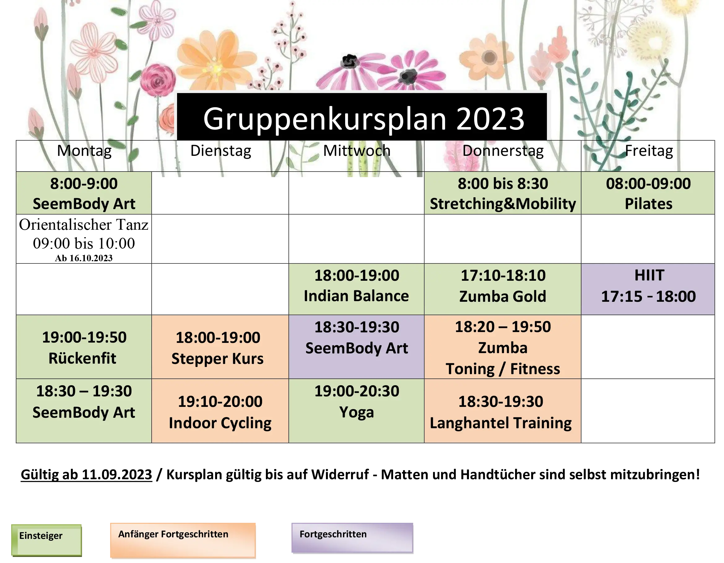 Fitnesskursplan
